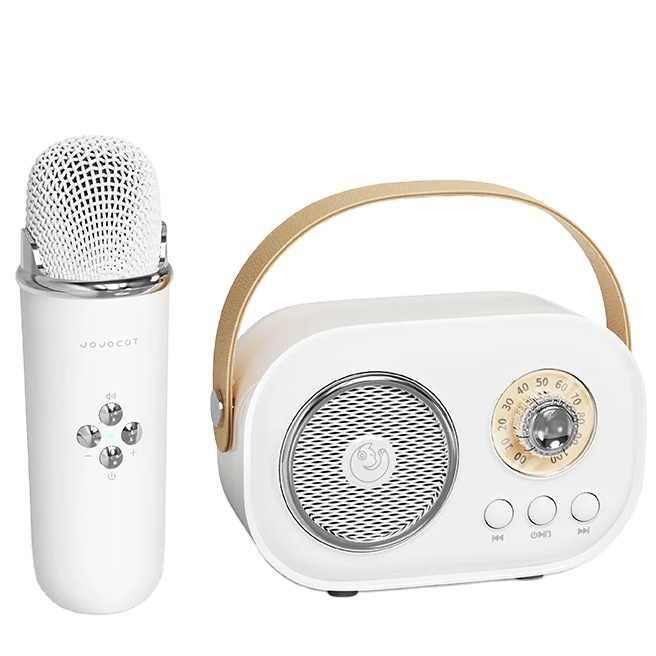 Bluetooth-колонка для караоке з мікрофоном на акумуляторі C20 Plus