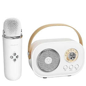 Bluetooth-колонка для караоке з мікрофоном на акумуляторі C20 Plus