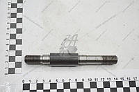Ось маятника ВАЗ-2123 (21230341409600)