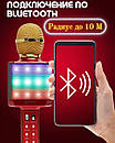 Караоке-мікрофон WSTER WS-1828 з LED-підсвіткою (змінювання голосу) AuraHome, фото 9