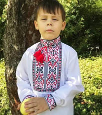Вишиванка дитяча сорочка для хлопчика Йосип в білому кольорі з червоно-чорною вишивкою. Розміри 116-134, фото 5