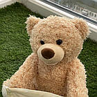 Ведмедик Пікабу Peekaboo Brown Bear 30см російською мовою / дитяча інтерактивна іграшка, фото 5