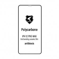 Захисна плівка iPhone 12 Pro Max 6.7 (3D, чорна) Polycarbone