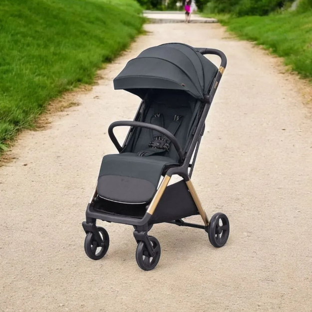 Прогулянкова коляска коляска Carrello Cross CRL-5523 Eagle Grey