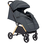 Прогулянкова коляска коляска Carrello Cross CRL-5523 Eagle Grey, фото 3