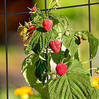 Решітка металева 150см Упаковка з 2 шт.