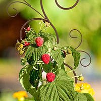 Металева гратчаста земляна кілка Упаковка з 2 шт.