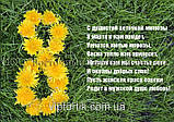 Друк їстівного фото — 8 Марта — Формат А4 — Вафельний папір — No25, фото 8