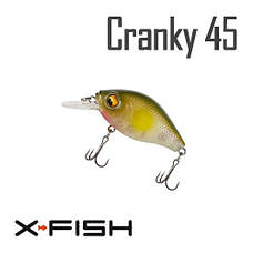 Cranky 45F