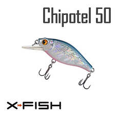 Chipotel 50F
