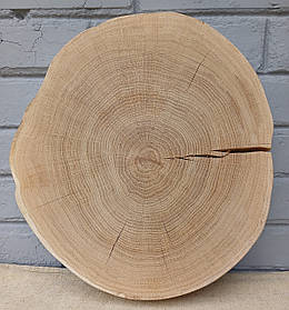 Зріз дерева для декору будинку, офісу, приміщення, шліфований, 350х380мм.