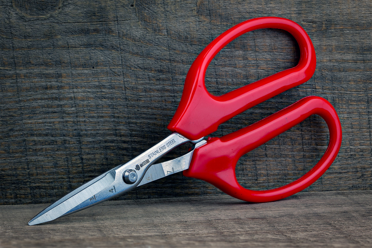 Садові ножиці 160 мм Sagawata, прямі з неіржавкої сталі, фото 1