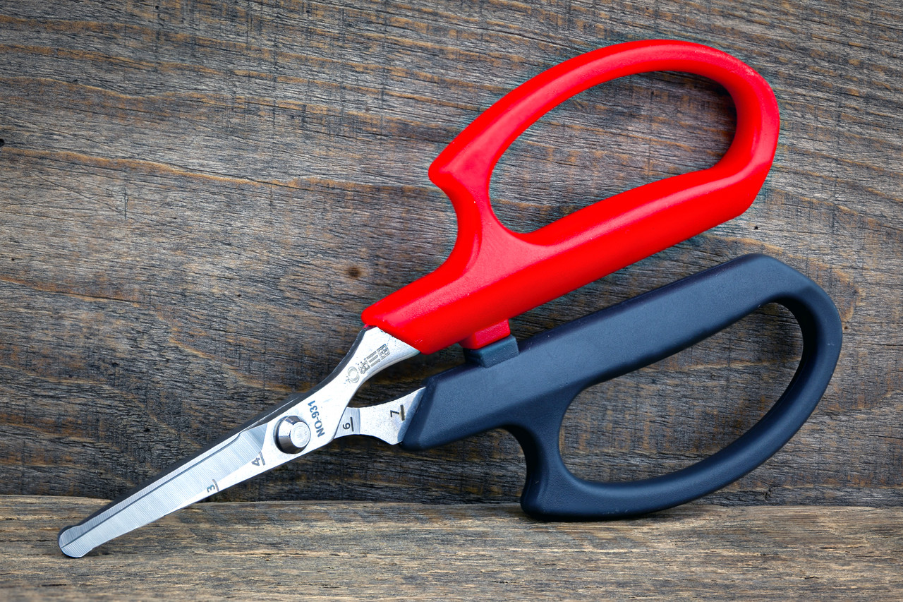 Садові ножиці 160 мм Sagawata, круглий край, з неіржавкої сталі, фото 1