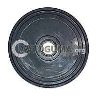 Діафрагма (483А.043)