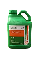 Інсектицид Наповал 5 л (імідаклоприд 300 г/л, альфа-циперметрин 100 г/л)