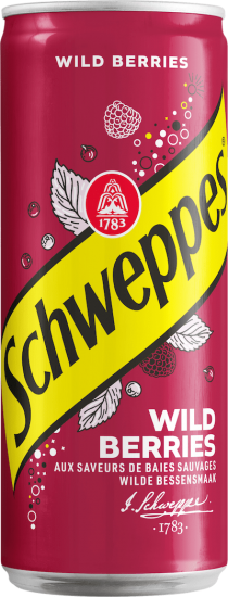 Безалкогольний газований напій Schweppes Wild Berry 330мл, фото 1