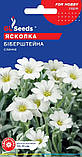 Ясколка Біберштейна насіння (0,1 гр) (Cerāstium bieberstēinii) біла роговик багаторічний сланкий For Hobby, TM GL Seeds, фото 2