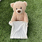 Ведмедик Пікабу Peekaboo Brown Bear 30см російською мовою / дитяча інтерактивна іграшка, фото 11