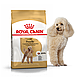 Сухий корм Royal Canin Poodle Adult (Роял Канін Пудель) для собак, 500 гр, фото 2