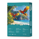 Кава арабіка Мексика для кав'ярні 250 г, фото 3