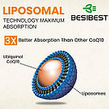 Коензим Besibest Liposomal Vegan CoQ10 Ubiquinol 1000 мг 60 вегетаріанських гелевих капсул, фото 6