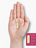 Для жінок Carlyle Menopause Support 180 капсул, фото 4
