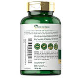 Для травлення Carlyle Papaya Enzyme Plus Chewable 300 жувальних таблеток (Ензим з Папайї), фото 4