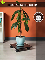 Підставка для квітів MebelProff, Полиця підлогова для квітів, Подіум для квітів.