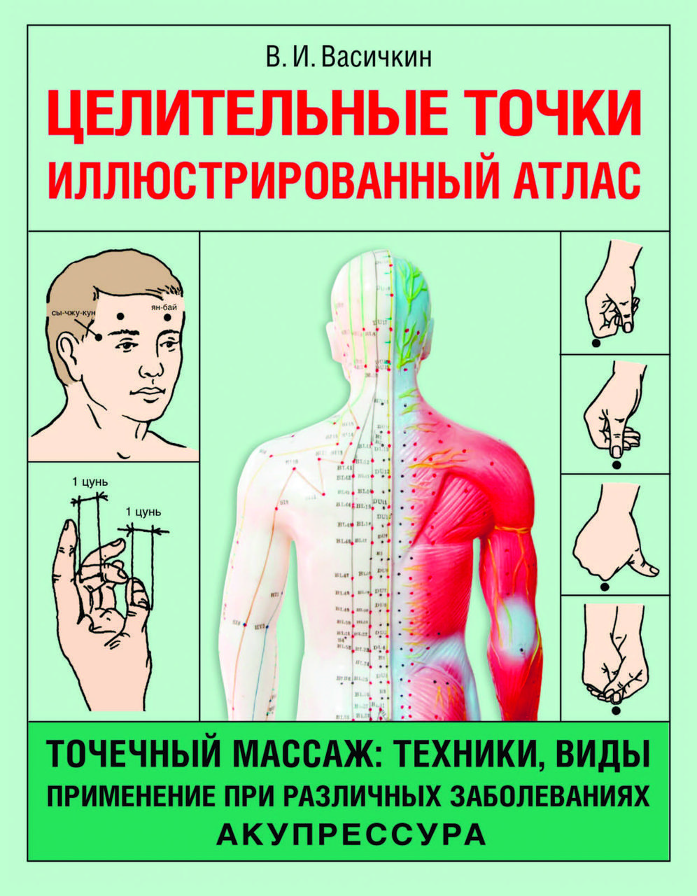 Книга «Точки зцілення. Ілюстрований атлас» Володимир Васічкін (збільшений формат)