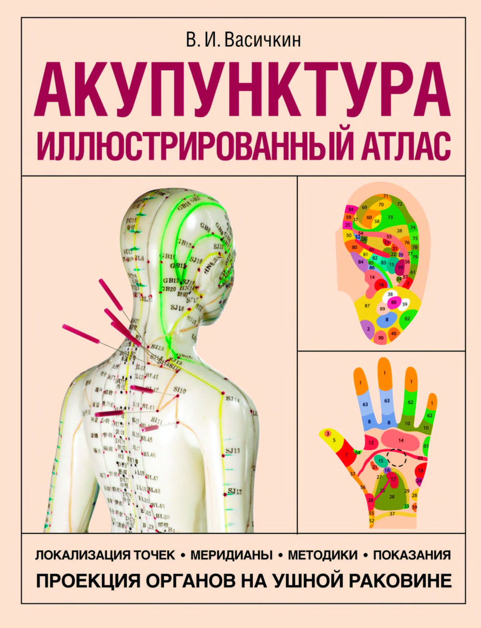 Книга "Акупунктура. Ілюстрований атлас" Володимир Васічкін (збільшений формат)