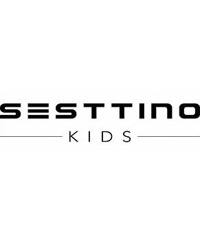 Автокрісла SESTTINO/KIDWELL