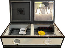 Брудер Наседка-100 ламповий