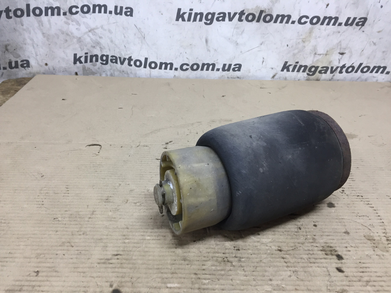 Пневмобалон BMW X5 E53 37126750355, фото 1