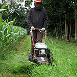 Сінокосарка бензинова HECHT 5060 EU (4 ножа+2 масла 4Т*0,6L), фото 2