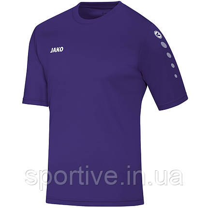 Джерсі Team S/S Jako 4233, фото 1