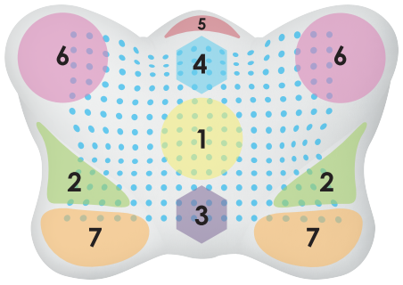 Ортопедична подушка з ефектом пам'яті м'яка Olvi "Butterfly Soft" 59х39х14см J2539S, фото 1