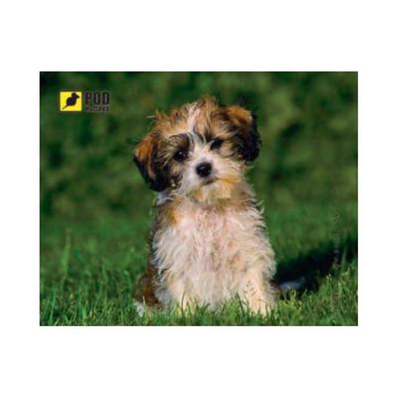 Килимок для міші Podmyshku Кудлате щеня, фото 1