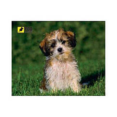 Килимок для міші Podmyshku Кудлате щеня