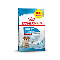 Корм для цуценят середніх порід ROYAL CANIN MEDIUM PUPPY 3.2 кг + 800 г у подарунок