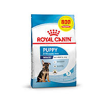 Корм для цуценят великих порід собак ROYAL CANIN MAXI PUPPY 3.2 кг + 800 г у подарунок