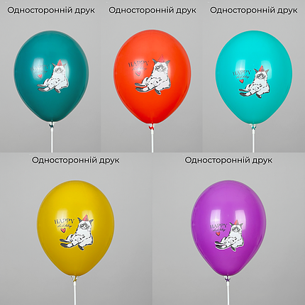 Принт 088 SHOW-ШОУ 12" Happy Birthday - Коте, фото 3