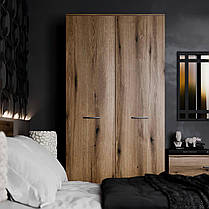 Шафа Ascet / Аскет 2000х900х590мм Art In Head, фото 5