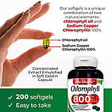 Хлорофіл Fito Medic's Chlorophyll 800 мг на порцію 200 гелевих капсул, фото 3