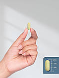 Horbaach Glucosamine Chondroitin MSM & Turmeric Complex 3600 мг на порцію 180 таблеток (каплетс), фото 4