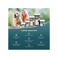 Вітаміни для літніх собак 8in1 Excel «Multi Vitamin Senior» мультивітамін 70 таблеток, фото 5