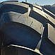560/60R22.5 Petlas PT-FLOT Flotation (Steel Belted) TL 165D (175A8), фото 3