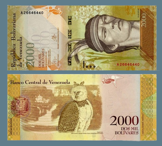 Колекційна банкнота 2000 болівар 2016г "Птах Сова" Венесуела. UNC до колекції, фото 1