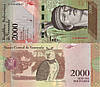 Колекційна банкнота 2000 болівар 2016г "Птах Сова" Венесуела. UNC до колекції, фото 2