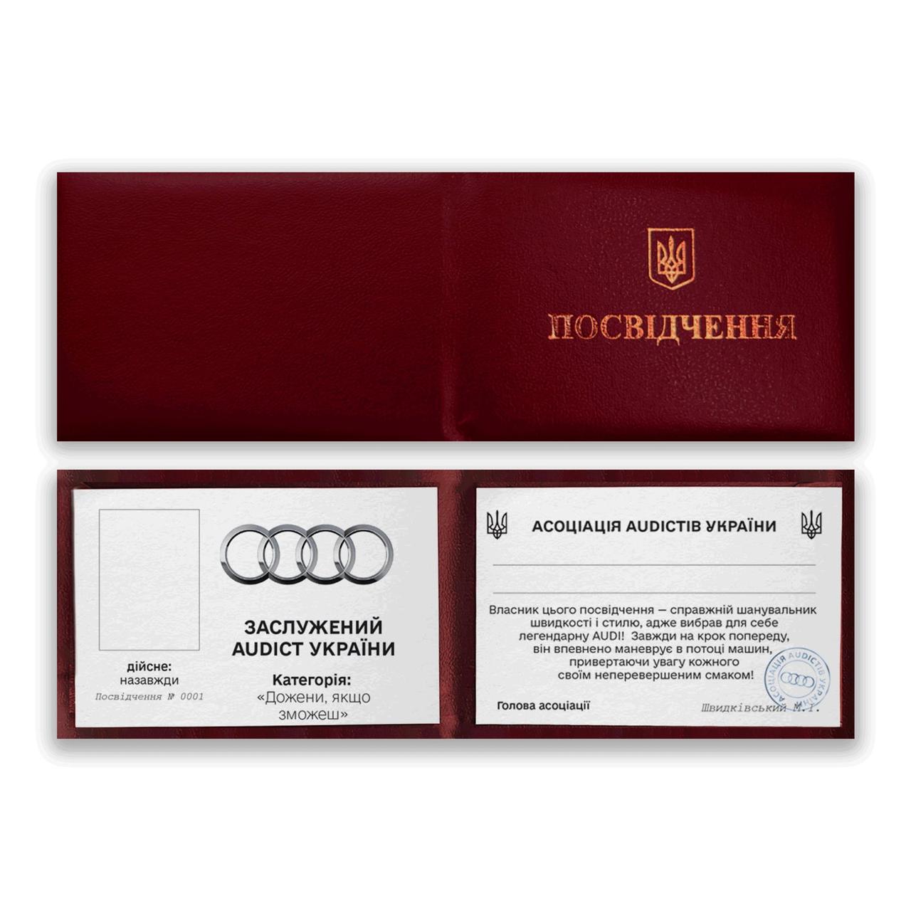 Прикольна (достовірна) "Заслужений AUDICT Україні"