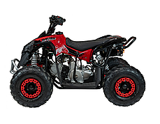Дитячий квадроцикл із двигуном внутрішнього згоряння Ramiz Quad RENEGADE HIPERFECT 110CC, фото 4